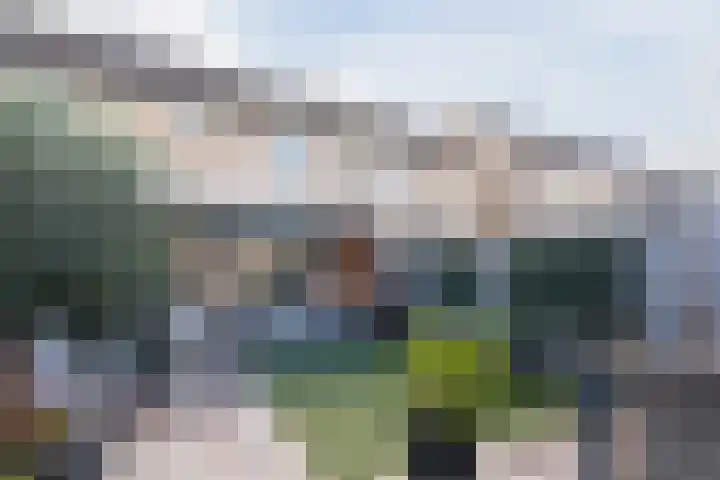 Meerkoethof 14 Dongen thumbnail 45