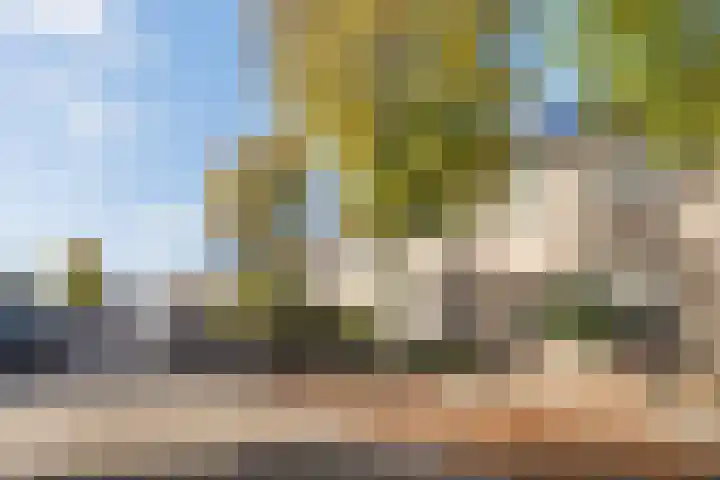 Meerkoethof 14 Dongen thumbnail 48
