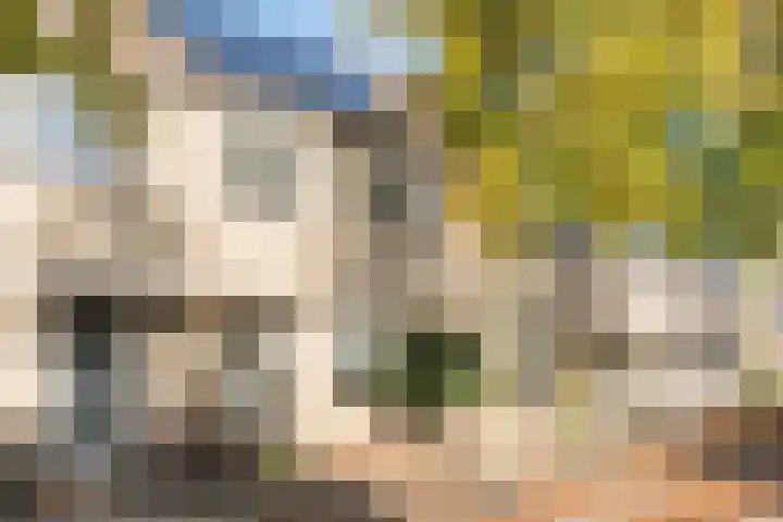 Meerkoethof 14 Dongen thumbnail 5