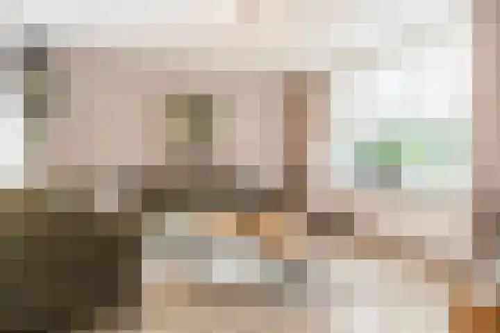 Meerkoethof 14 Dongen thumbnail 7