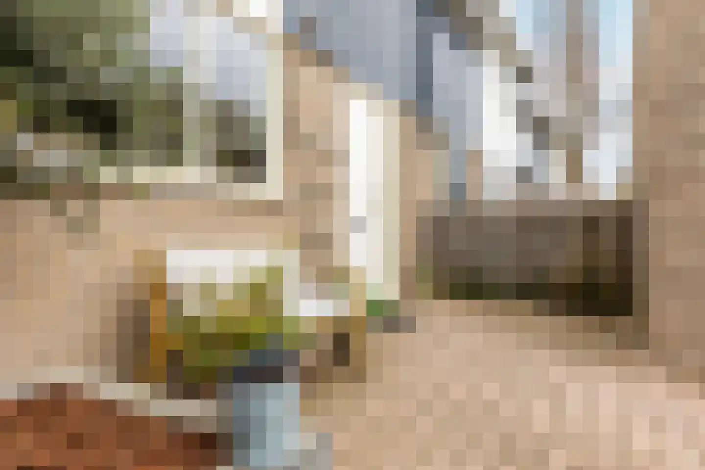 Meerkoethof 19 Moordrecht thumbnail 8