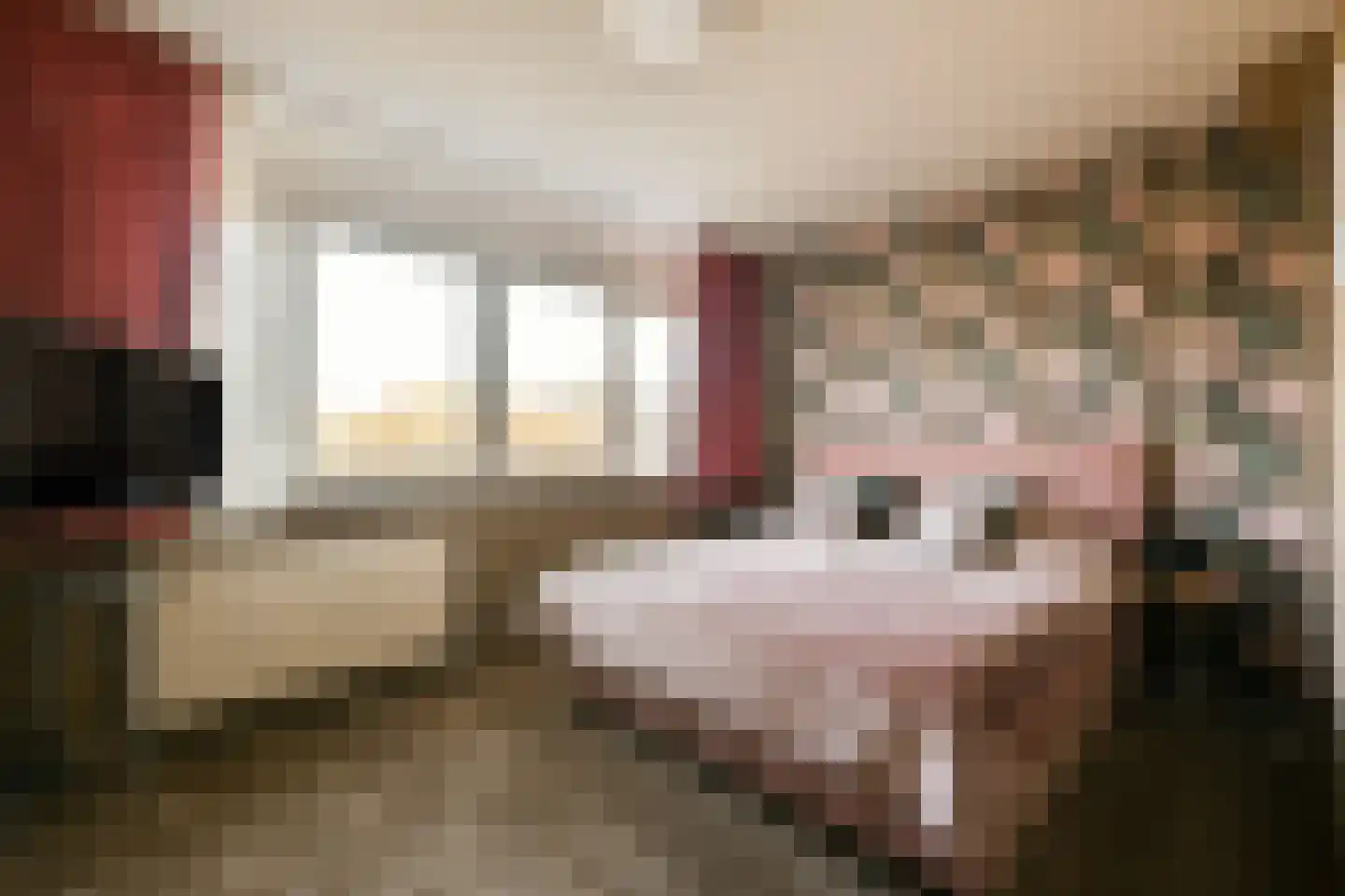 Meerkoethof 28 Purmerend thumbnail 17