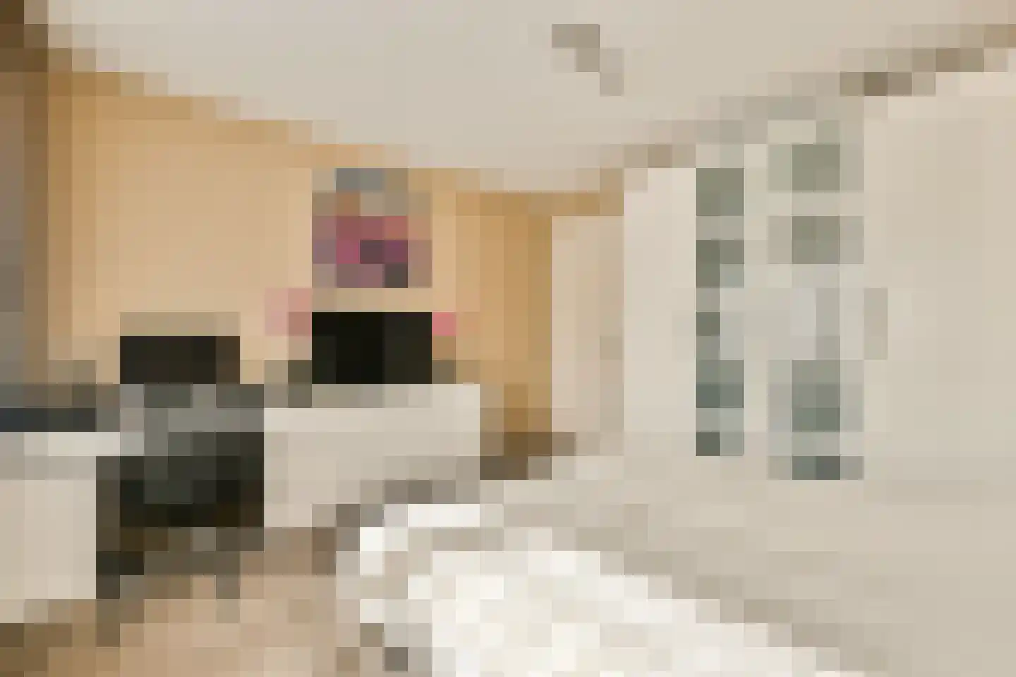 Meerkoethof 28 Purmerend thumbnail 22