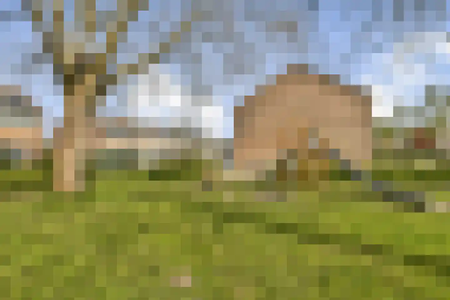 Meerkoethof 28 Purmerend thumbnail 29