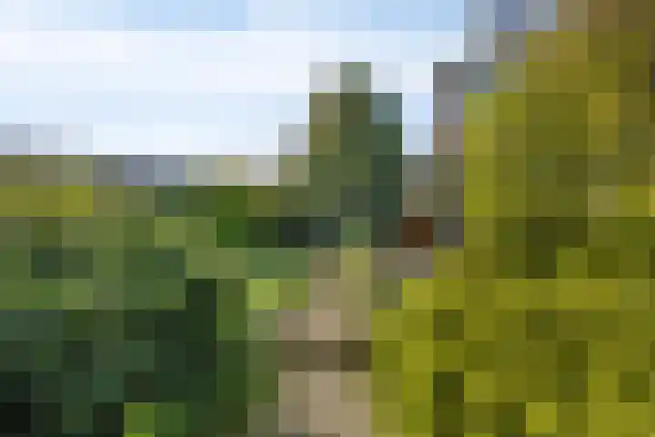 Meerkoethof 34 Purmerend thumbnail 17