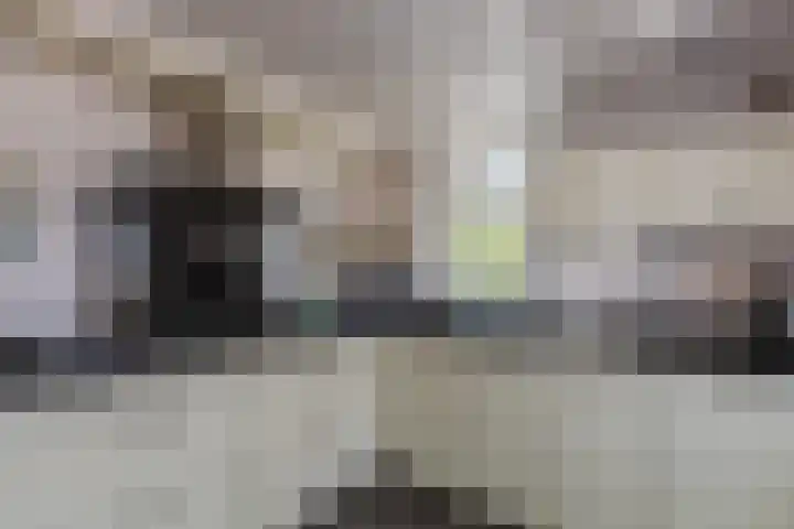 Meerkoethof 7 Dongen thumbnail 17