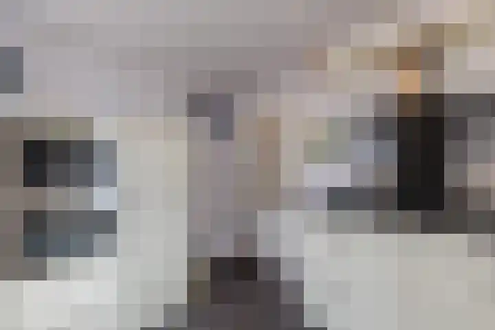 Meerkoethof 7 Dongen thumbnail 18