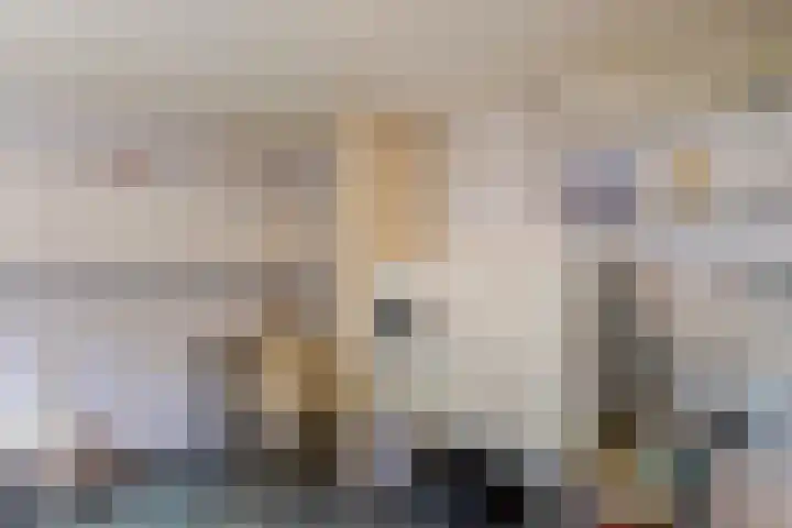 Meerkoethof 7 Dongen thumbnail 24
