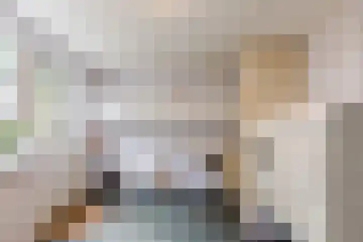 Meerkoethof 7 Dongen thumbnail 25
