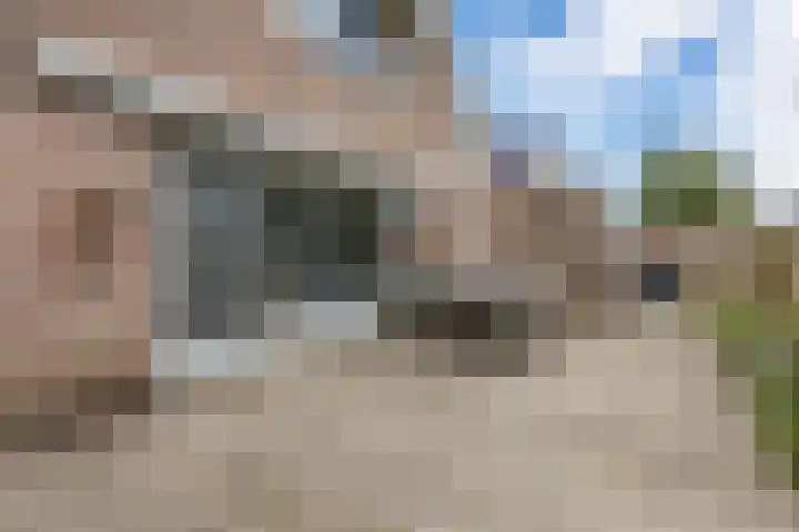 Meerkoethof 7 Dongen thumbnail 30