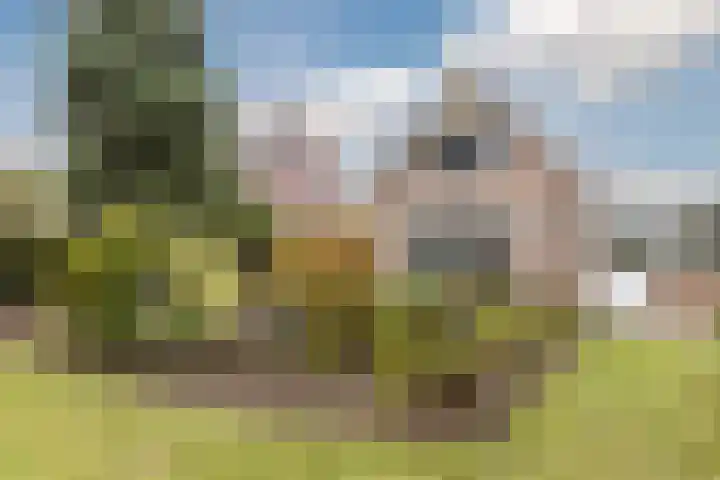 Meerkoethof 7 Dongen thumbnail 31