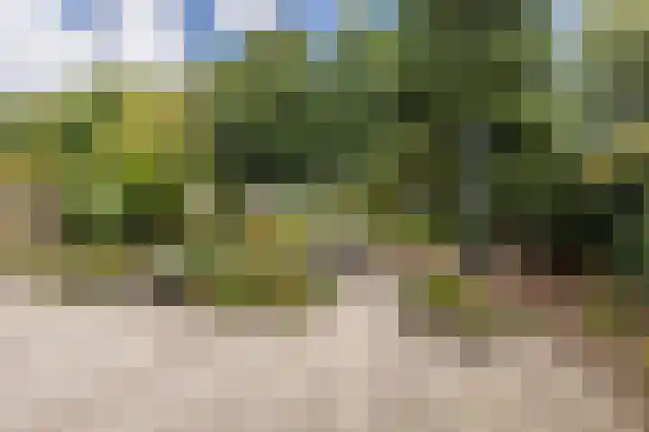 Meerkoethof 7 Dongen thumbnail 32