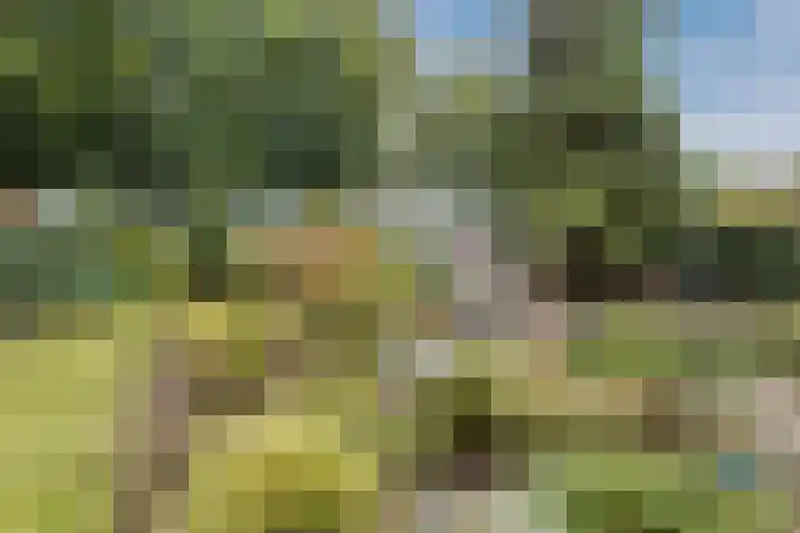 Meerkoethof 7 Dongen thumbnail 34