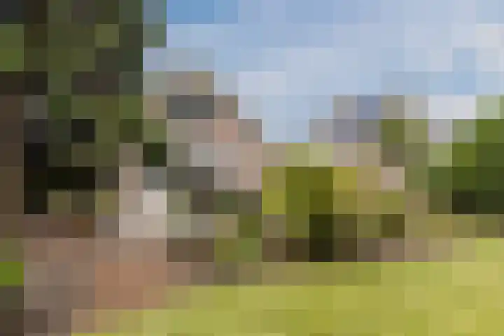 Meerkoethof 7 Dongen thumbnail 35