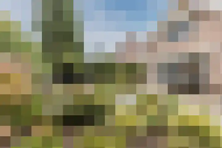 Meerkoethof 7 Dongen thumbnail 4