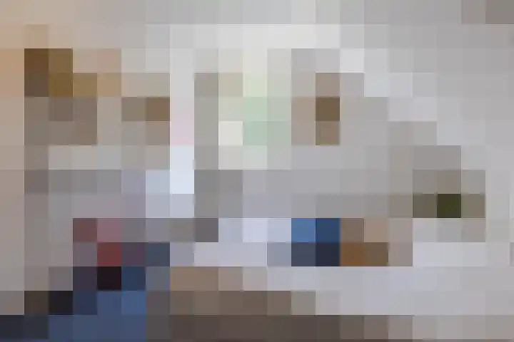 Meerkoethof 7 Dongen thumbnail 42