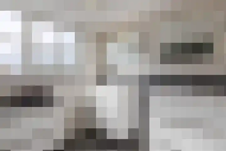 Meerkoethof 7 Dongen thumbnail 48