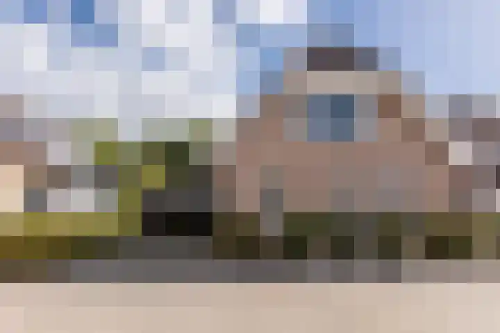 Meerkoethof 7 Dongen thumbnail 5