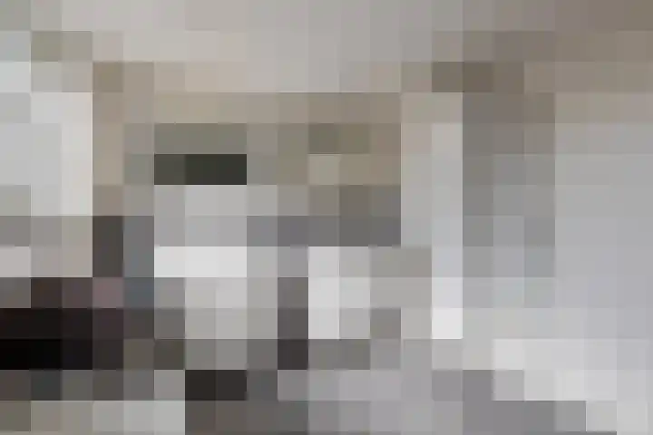 Meerkoethof 7 Dongen thumbnail 50