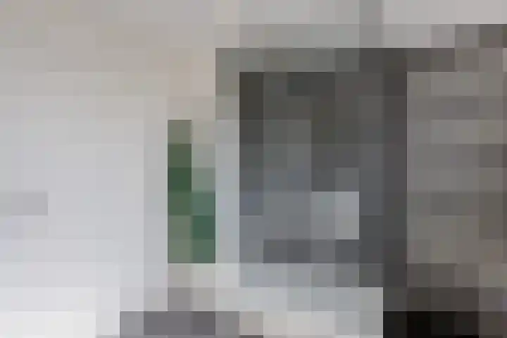 Meerkoethof 7 Dongen thumbnail 51