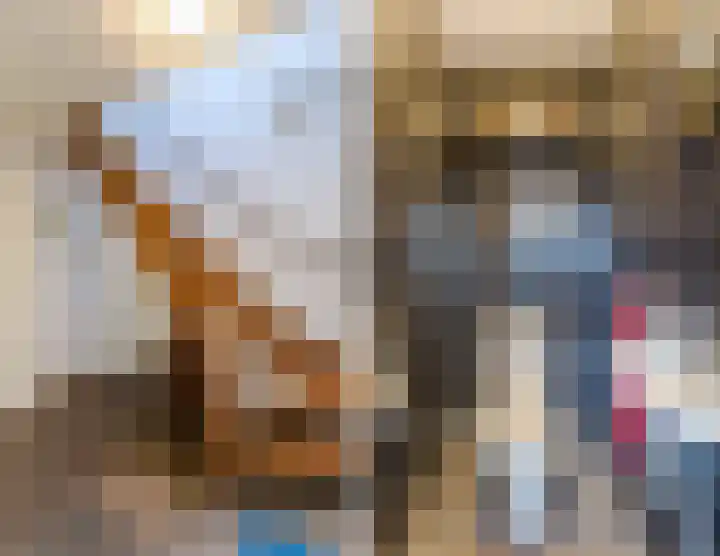 Meerkoethof 7 Dongen thumbnail 9