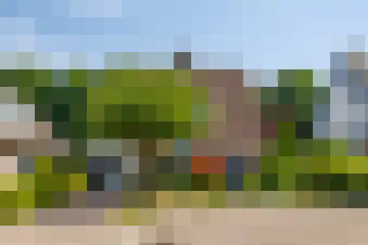 Meerkoethof 9 Dongen