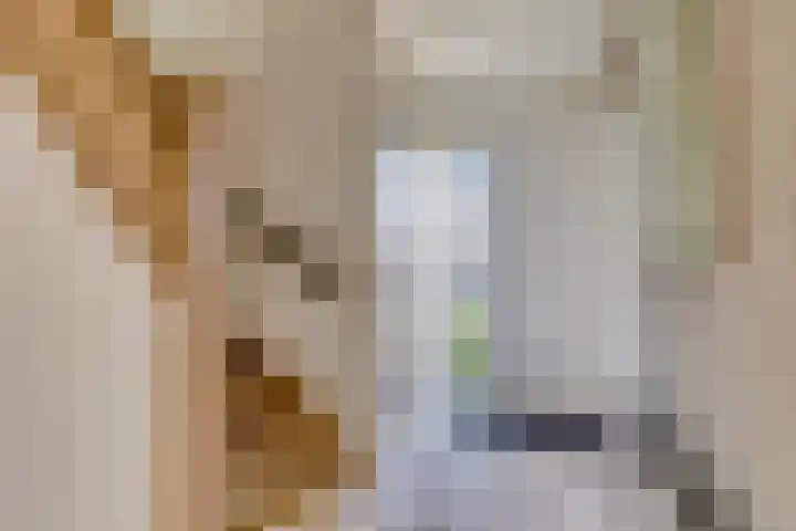 Meerkoethof 9 Dongen thumbnail 10