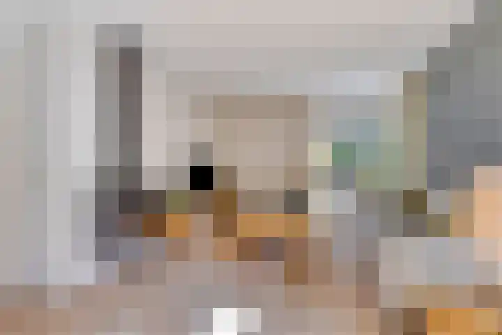 Meerkoethof 9 Dongen thumbnail 12