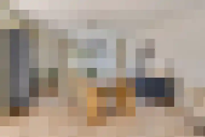 Meerkoethof 9 Dongen thumbnail 15