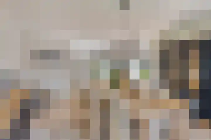 Meerkoethof 9 Dongen thumbnail 16