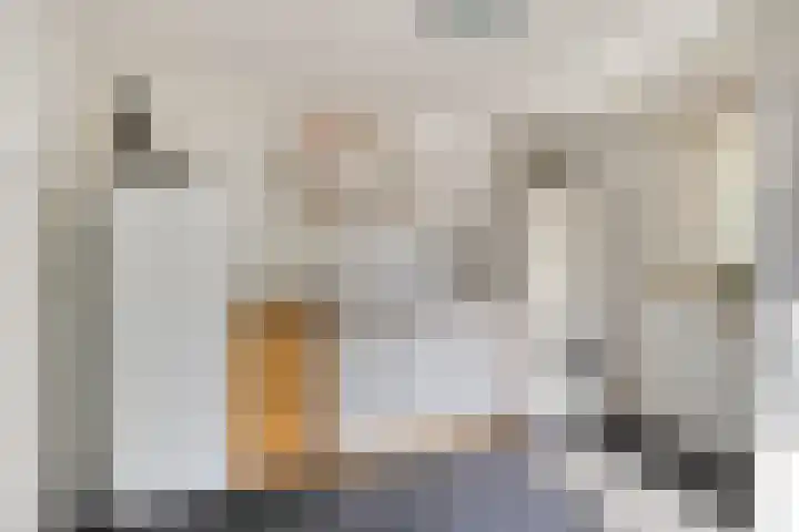 Meerkoethof 9 Dongen thumbnail 19
