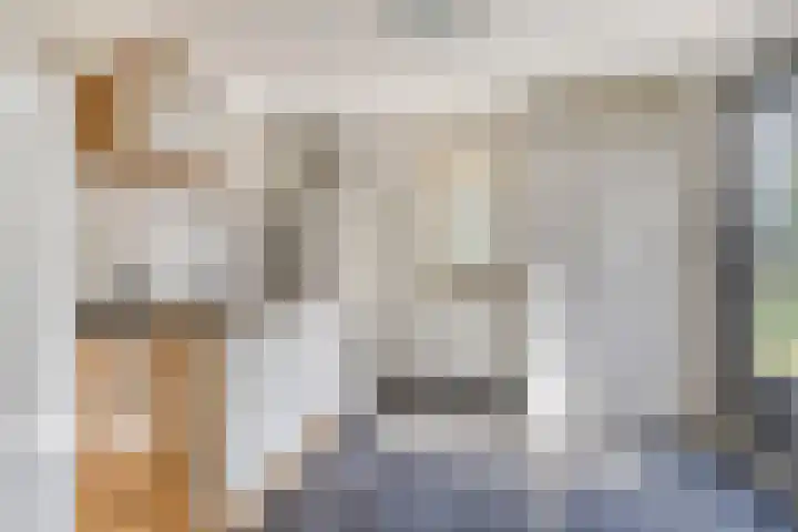 Meerkoethof 9 Dongen thumbnail 20
