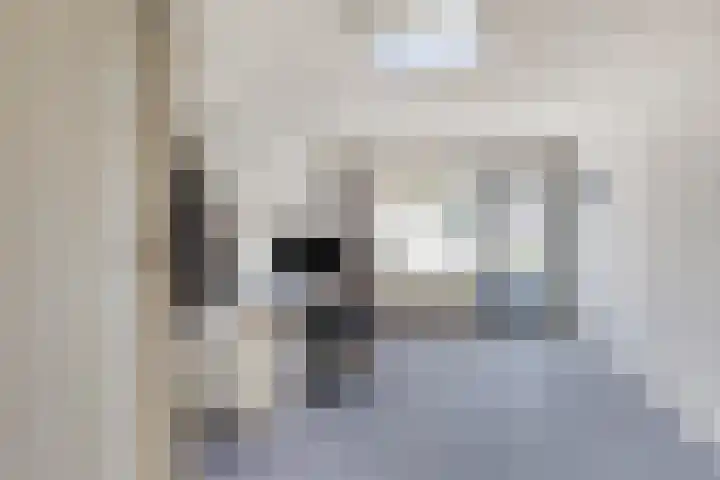 Meerkoethof 9 Dongen thumbnail 21