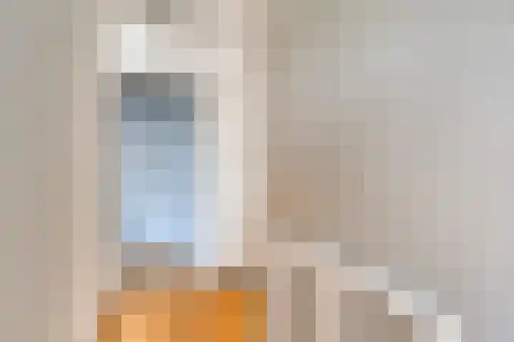 Meerkoethof 9 Dongen thumbnail 24