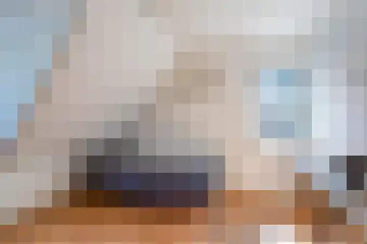 Meerkoethof 9 Dongen thumbnail 27
