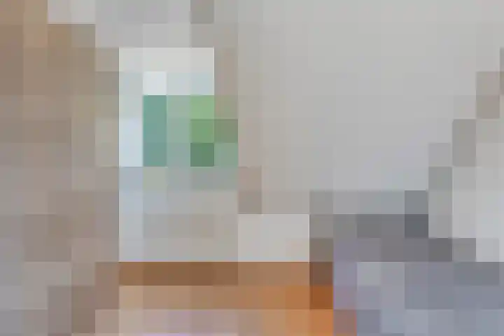 Meerkoethof 9 Dongen thumbnail 28