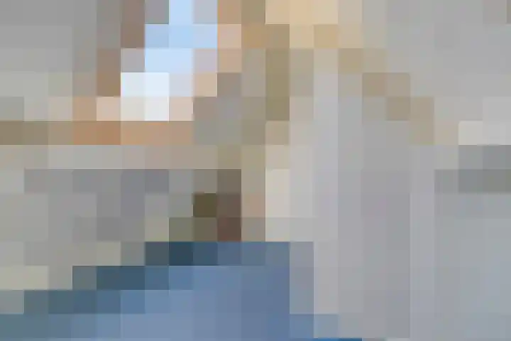 Meerkoethof 9 Dongen thumbnail 31