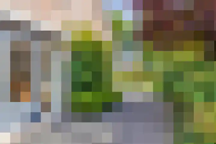 Meerkoethof 9 Dongen thumbnail 32