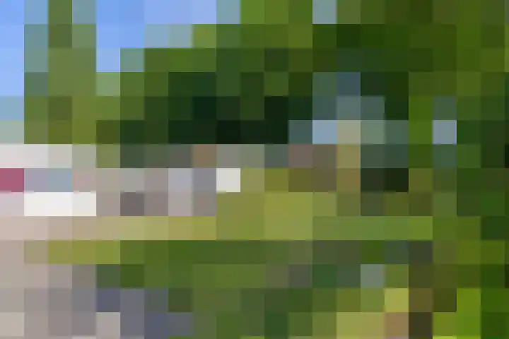Meerkoethof 9 Dongen thumbnail 33