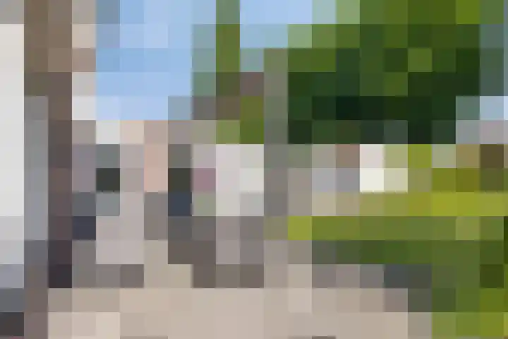 Meerkoethof 9 Dongen thumbnail 34