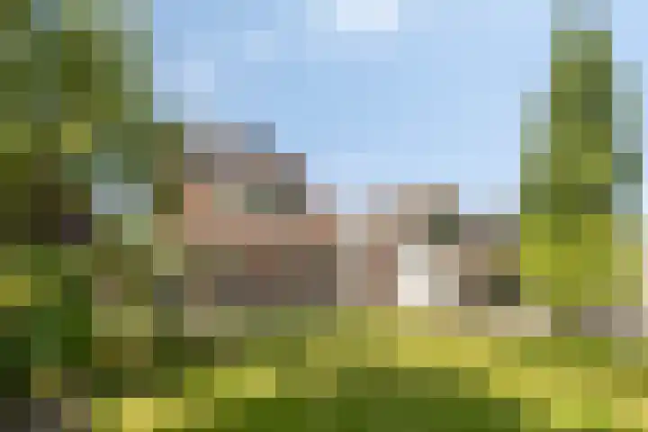 Meerkoethof 9 Dongen thumbnail 35