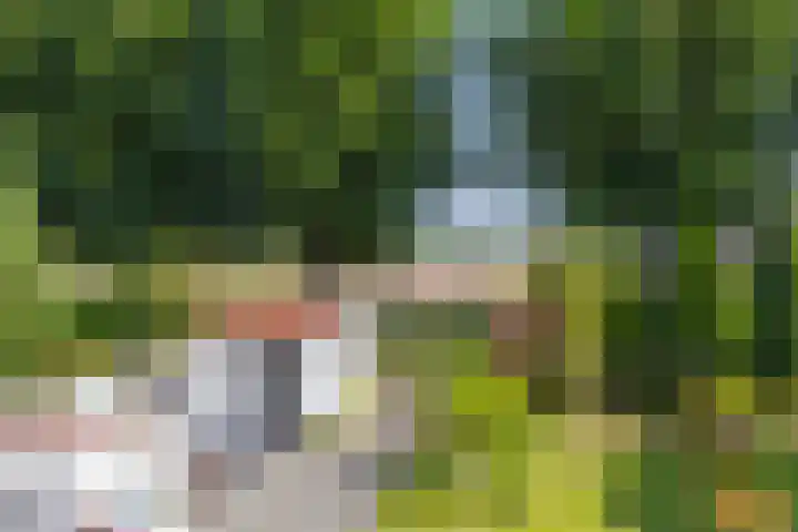 Meerkoethof 9 Dongen thumbnail 36