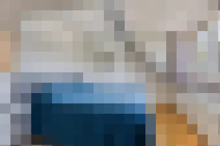 Meerkoethof 9 Dongen thumbnail 4