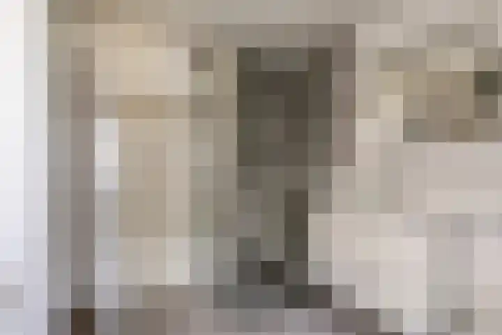 Meerkoethof 9 Dongen thumbnail 5