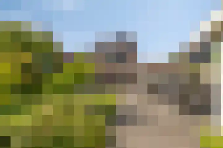 Meerkoethof 9 Dongen thumbnail 6