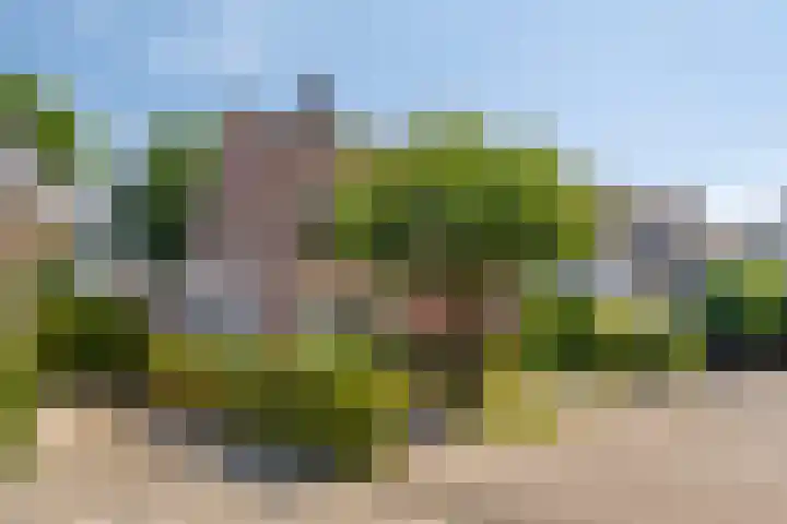 Meerkoethof 9 Dongen thumbnail 7