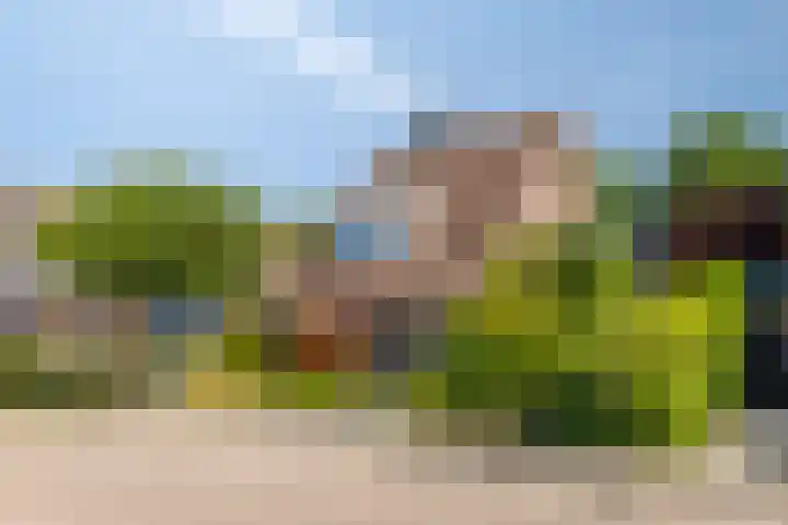 Meerkoethof 9 Dongen thumbnail 8
