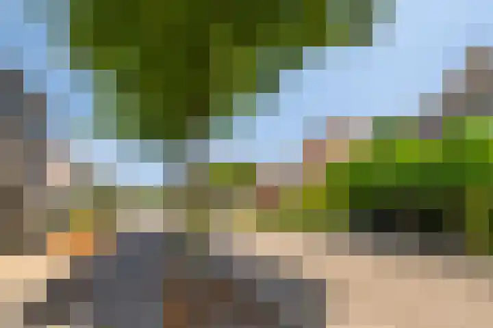 Meerkoethof 9 Dongen thumbnail 9