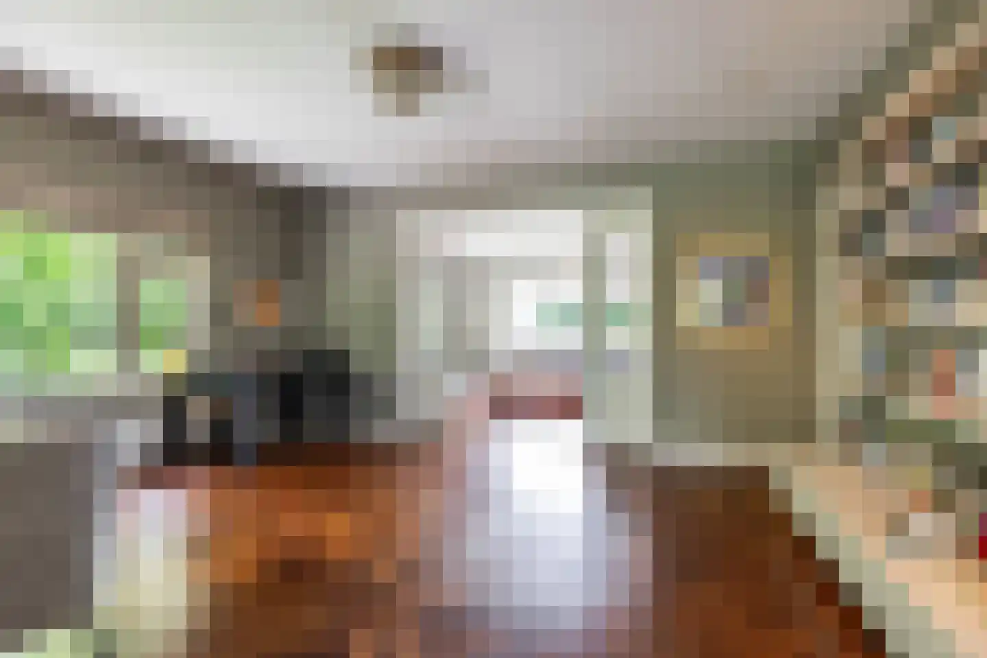 Meerkoetlaan 1 Paterswolde thumbnail 11