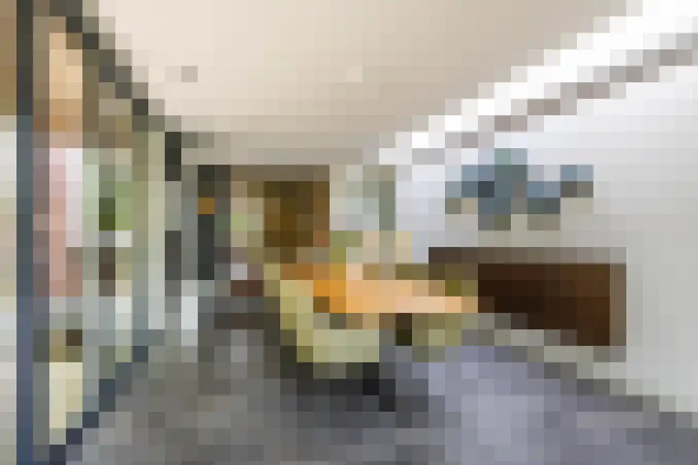 Meerkoetlaan 1 Paterswolde thumbnail 18